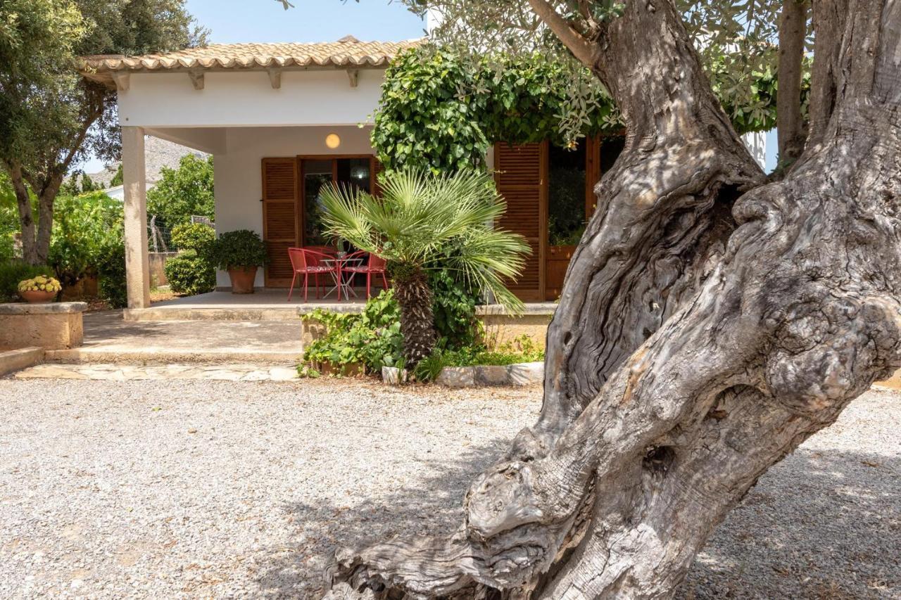 Villa La Vinya Can Oliver - Oliver بويينسا المظهر الخارجي الصورة