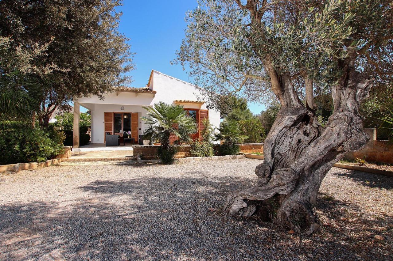 Villa La Vinya Can Oliver - Oliver بويينسا المظهر الخارجي الصورة